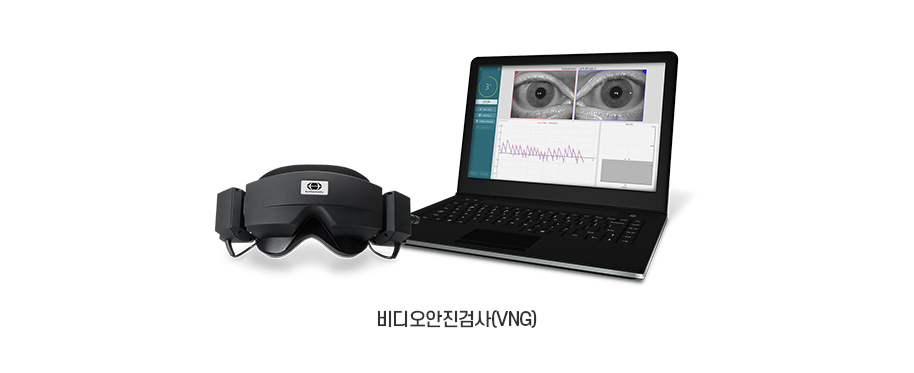 비디오안진검사 장비